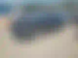 Vehicle Image- 2025 Nissan Sentra