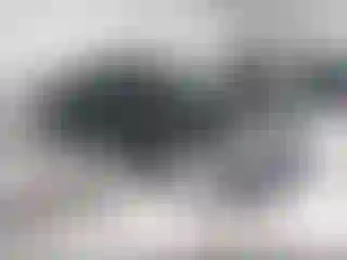 Vehicle Image- 2024 Nissan Sentra