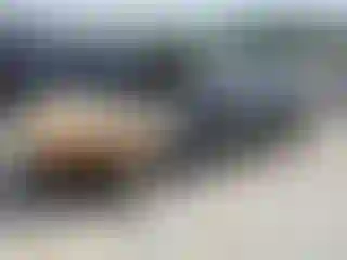 Vehicle Image- 2025 Nissan Sentra