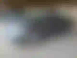 Vehicle Image- 2022 Nissan Sentra
