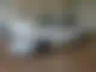 Vehicle Image- 2020 Nissan Sentra