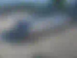 Vehicle Image- 2023 Nissan Sentra