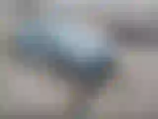 Vehicle Image- 2024 Nissan Sentra