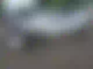 Vehicle Image- 2022 Nissan Sentra