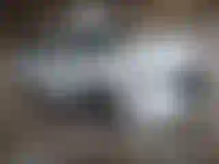 Vehicle Image- 2024 Nissan Sentra