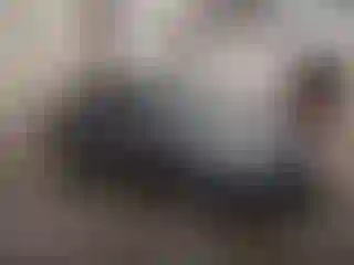 Vehicle Image- 2025 Nissan Sentra