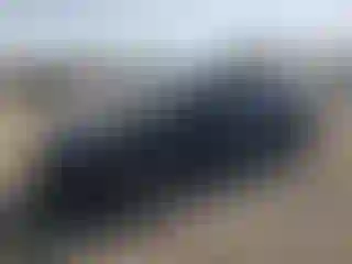 Vehicle Image- 2021 Nissan Sentra