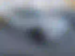 Vehicle Image- 2022 Nissan Sentra