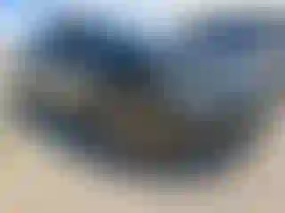 Vehicle Image- 2023 Nissan Sentra