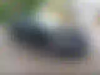 Vehicle Image- 2024 Nissan Sentra
