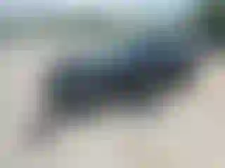 Vehicle Image- 2023 Nissan Sentra