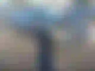 Vehicle Image- 2021 Nissan Sentra