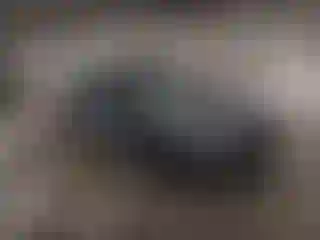 Vehicle Image- 2023 Nissan Sentra