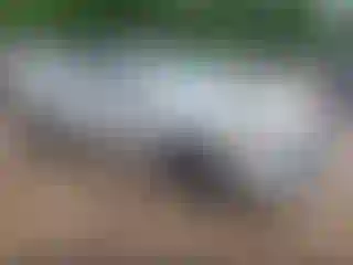 Vehicle Image- 2022 Nissan Sentra