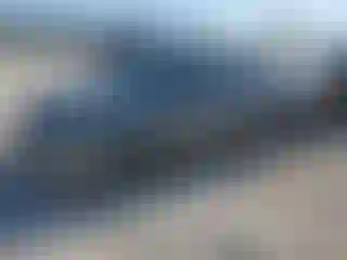 Vehicle Image- 2024 Nissan Sentra