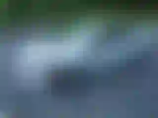 Vehicle Image- 2021 Nissan Sentra