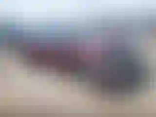 Vehicle Image- 2023 Nissan Sentra