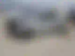 Vehicle Image- 2023 Nissan Sentra