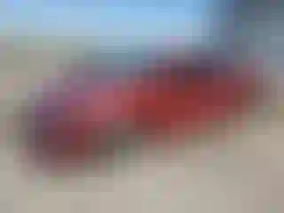 Vehicle Image- 2023 Nissan Sentra