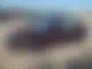 Vehicle Image- 2024 Nissan Sentra