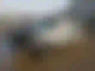 Vehicle Image- 2024 Nissan Sentra