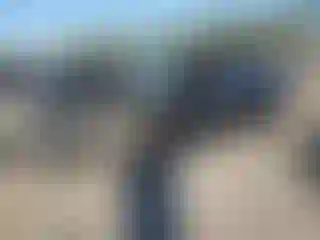 Vehicle Image- 2021 Nissan Sentra