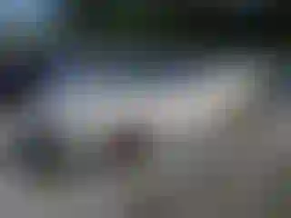 Vehicle Image- 2024 Nissan Sentra