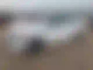 Vehicle Image- 2025 Nissan Sentra