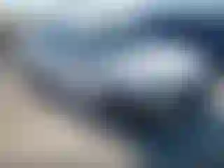 Vehicle Image- 2008 Nissan Sentra