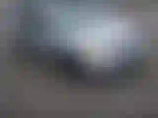 Vehicle Image- 2008 Nissan Versa