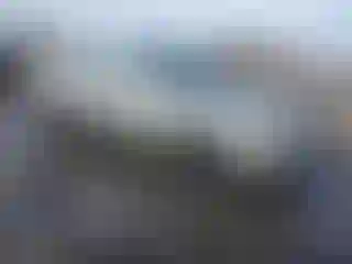 Vehicle Image- 2002 Nissan Sentra