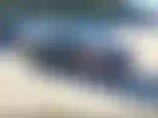 Vehicle Image- 2006 Nissan Sentra