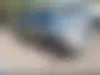 Vehicle Image- 2004 Nissan Sentra
