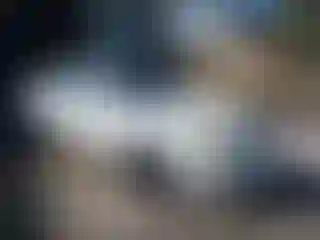 Vehicle Image- 2000 Nissan Sentra