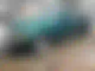 Vehicle Image- 2002 Nissan Sentra