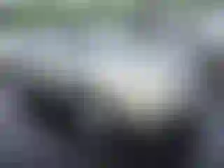 Vehicle Image- 2003 Nissan Sentra