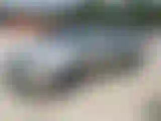 Vehicle Image- 2004 Nissan Sentra