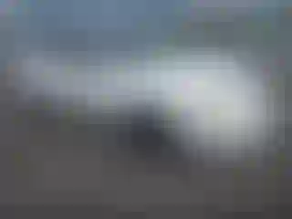 Vehicle Image- 2003 Nissan Sentra