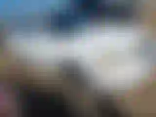 Vehicle Image- 2004 Nissan Sentra