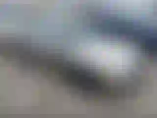 Vehicle Image- 2004 Nissan Sentra