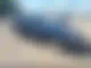 Vehicle Image- 2006 Nissan Sentra