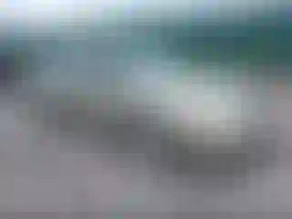 Vehicle Image- 2000 Nissan Sentra