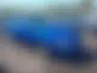 Vehicle Image- 2006 Nissan Sentra