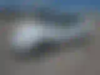 Vehicle Image- 2004 Nissan Sentra