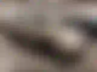 Vehicle Image- 2006 Nissan Sentra