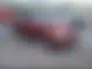 Vehicle Image- 2004 Nissan Sentra