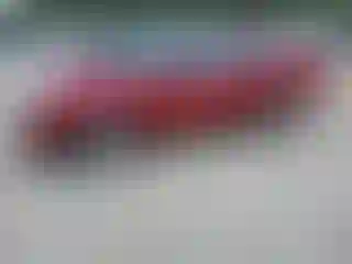 Vehicle Image- 2006 Nissan Sentra