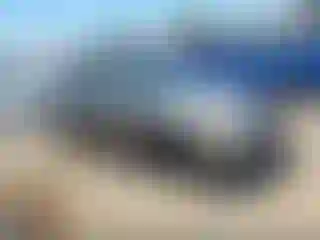 Vehicle Image- 2004 Nissan Sentra