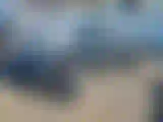 Vehicle Image- 2004 Nissan Sentra