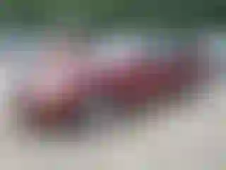 Vehicle Image- 2006 Nissan Sentra